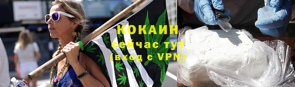 гидра Аркадак