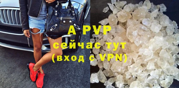 гидра Аркадак