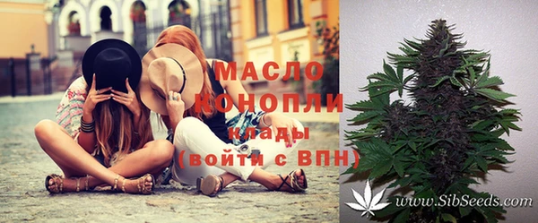 гидра Аркадак
